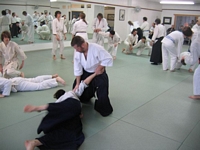 Aikido Friendship Seminar 3